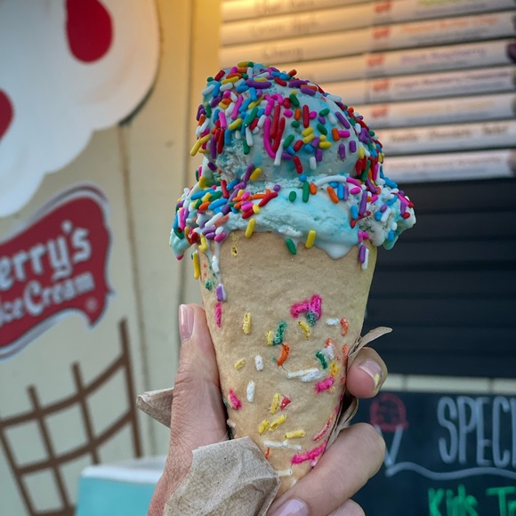 Meet your Posher, Chloe - Picture 1 of 1